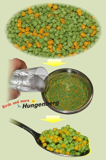 Extro grün-gelb