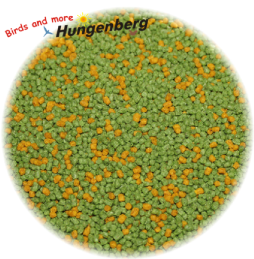 Extro grün-gelb