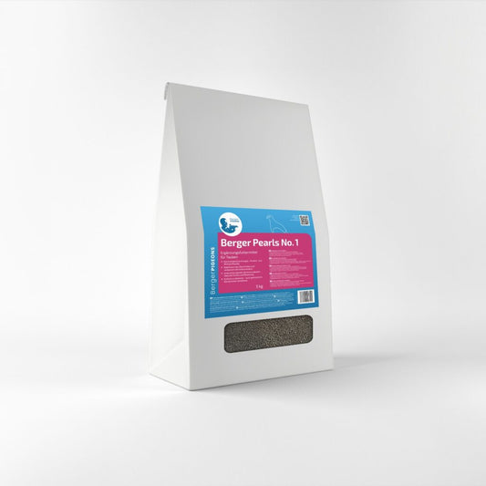 Berger Pigeon BergerPearls No.1