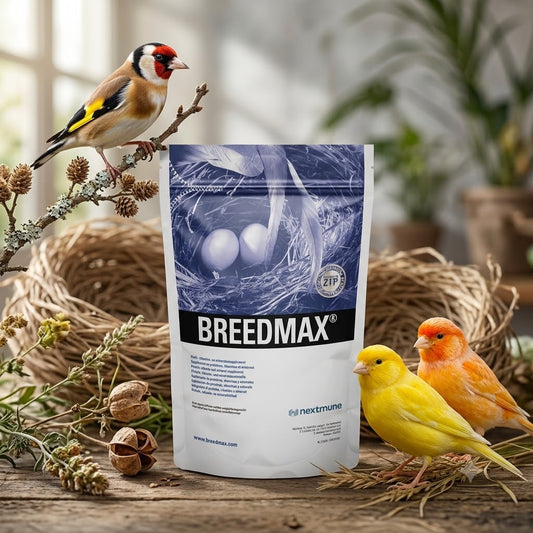 Breedmax 500g Packung – Ergänzungsfuttermittel für Ziervögel in Pulverform zur Stärkung der Fruchtbarkeit, Kükenaufzucht und Federbildung.