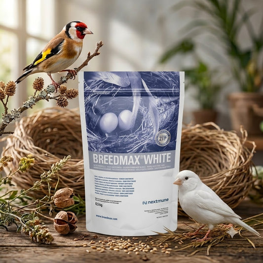 Breedmax White 500g Packung – Carotinfreies Ergänzungsfuttermittel für weiße Kanarien und Mosaikvögel zur farbechten Kükenaufzucht.