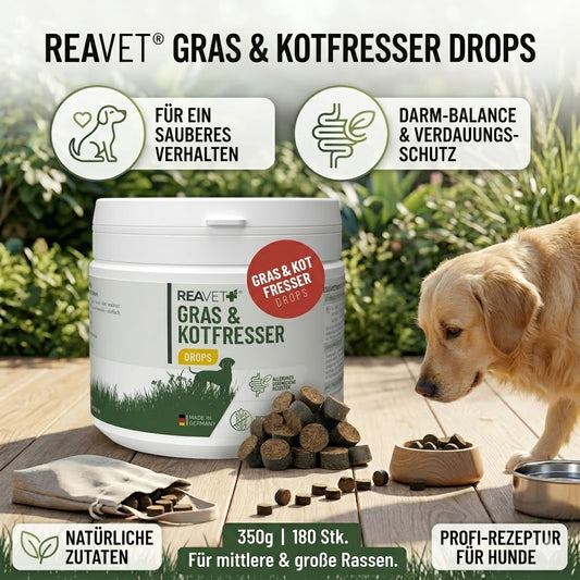 REAVET Gras & Kotfresser Drops 350g Dose – Natürliche Ergänzungs-Snacks für Hunde zur Unterstützung von Magen, Darm und optimaler Verdauungsfunktion.