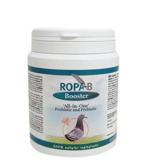 Ropa B Booster