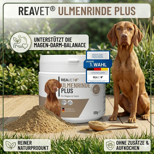 REAVET Ulmenrinde Plus 120g Dose – Natürliches Pulver aus Rotulmenrinde und Flohsamenschalen als Magenschutz für Hunde und Katzen.