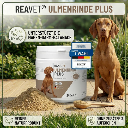 Ulmenrinde Plus 240g Dose – Natürliches Pulver aus Rotulmenrinde und Flohsamenschalen als Magenschutz für Hunde und Katzen.